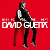David+guetta+nothing+but+the+beat+album+art